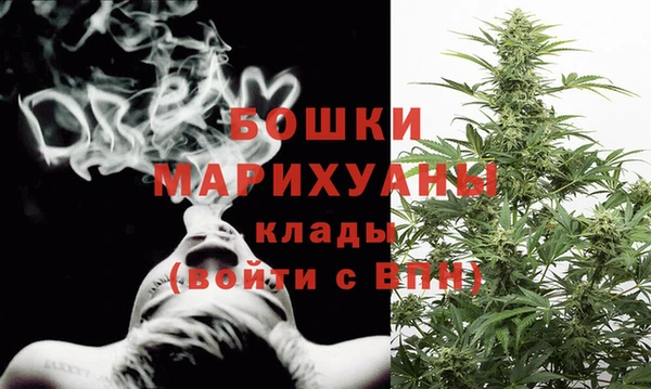гидра Володарск