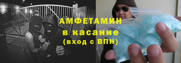 индика Волоколамск