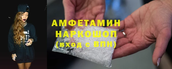 индика Волоколамск