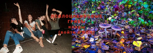 индика Волоколамск