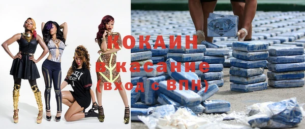 гидра Володарск
