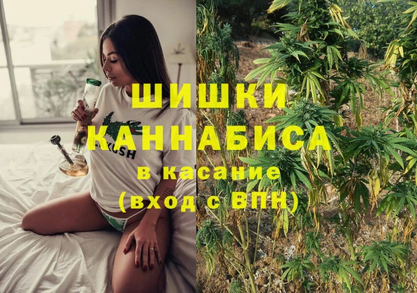 индика Волоколамск