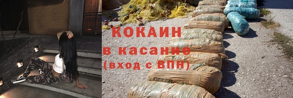гидра Володарск