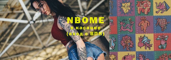 индика Волоколамск