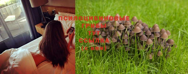 индика Волоколамск