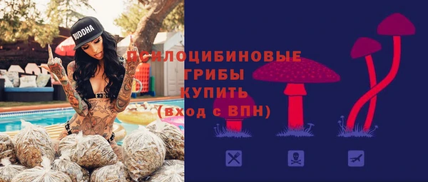 индика Волоколамск