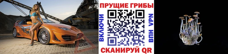 магазин наркотиков Рузаевка Псилоцибиновые грибы GOLDEN TEACHER